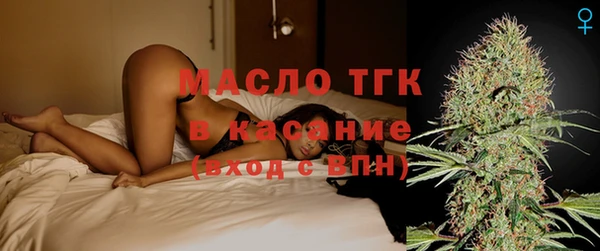 ECSTASY Гусь-Хрустальный