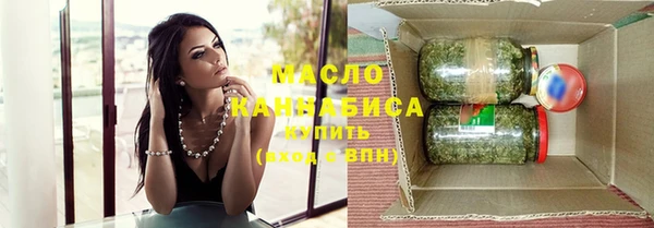 гашик Горняк