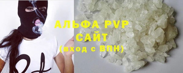 ECSTASY Гусь-Хрустальный
