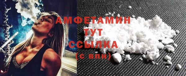 ECSTASY Гусь-Хрустальный