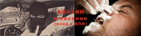 гашик Горняк