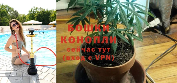 первитин Гусиноозёрск
