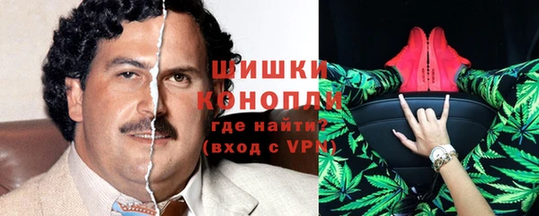 гашик Горняк